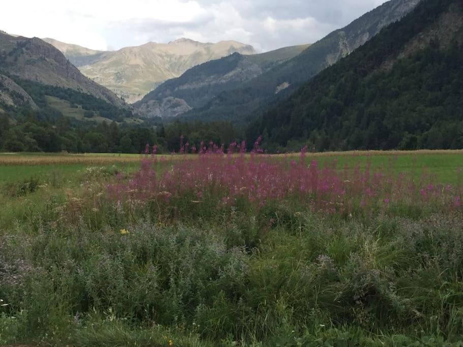 Appart Tres Ensoleille 5-6 Pers Au Pied Des Pistes อองเซลล์ ภายนอก รูปภาพ